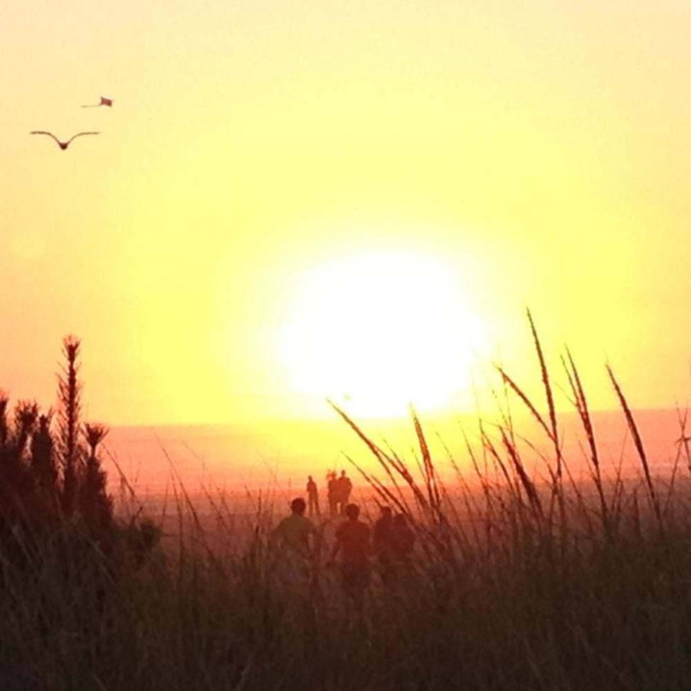 Meet your Posher, Teresa